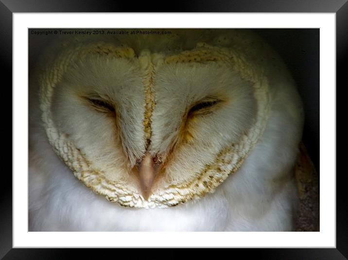 Barn Owl Framed Mounted Print by Trevor Kersley RIP