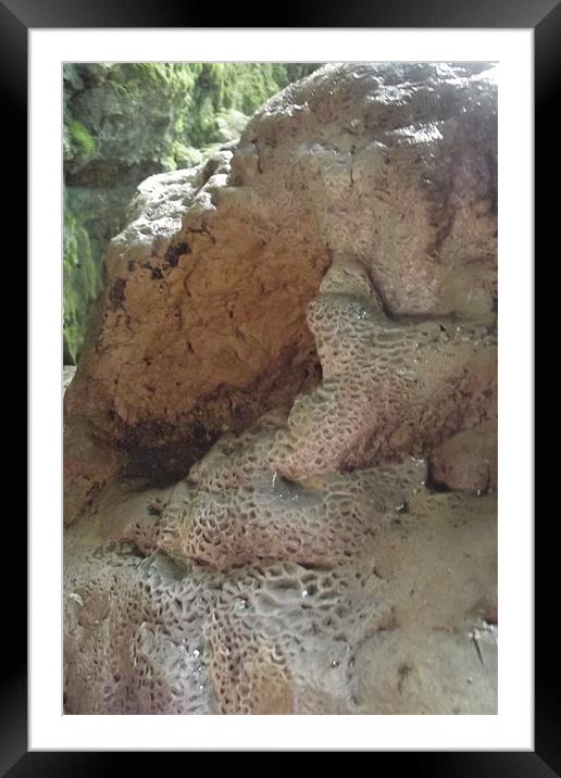 Textures in nature Framed Mounted Print by Tina Ifould