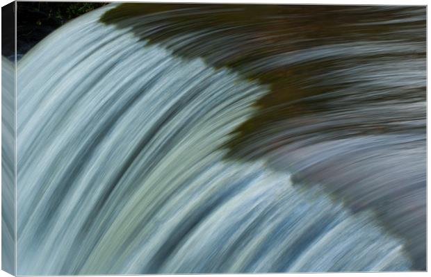 Waterfall Canvas Print by lee wilce