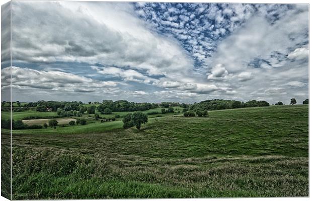 language battleground Canvas Print by Jo Beerens