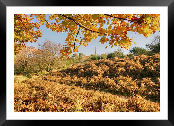 Autumn On The Moor Framed Mounted Print by David Birchall