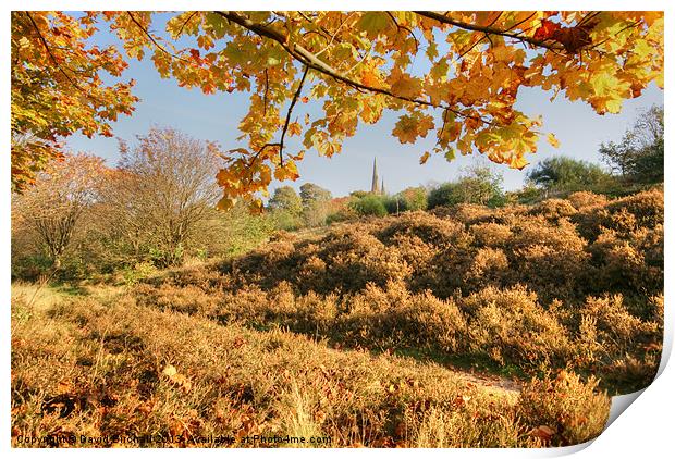 Autumn On The Moor Print by David Birchall