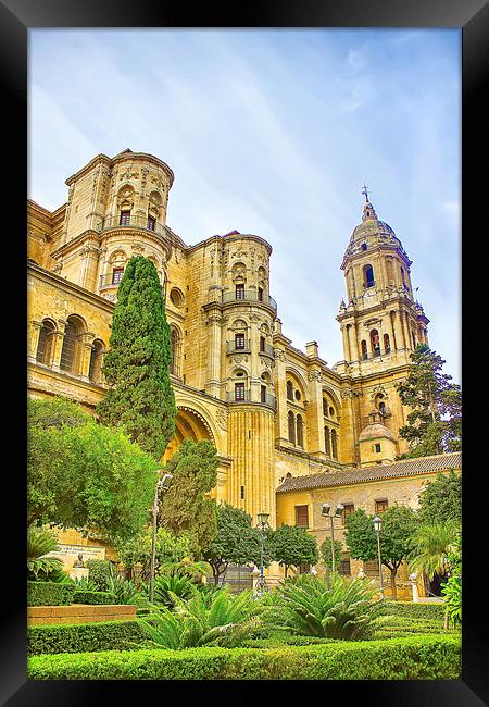 Malaga Cathedral in Andalusia Framed Print by Dragomir Nikolov