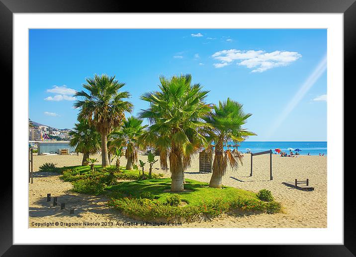 Palm trees on a beach in Fuengirola, Spain Framed Mounted Print by Dragomir Nikolov