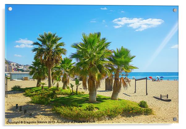 Palm trees on a beach in Fuengirola, Spain Acrylic by Dragomir Nikolov