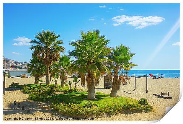 Palm trees on a beach in Fuengirola, Spain Print by Dragomir Nikolov