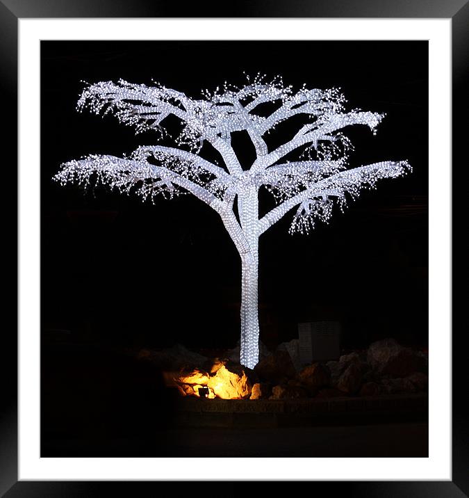 Tree Of Light - redone Framed Mounted Print by Paul Piciu-Horvat