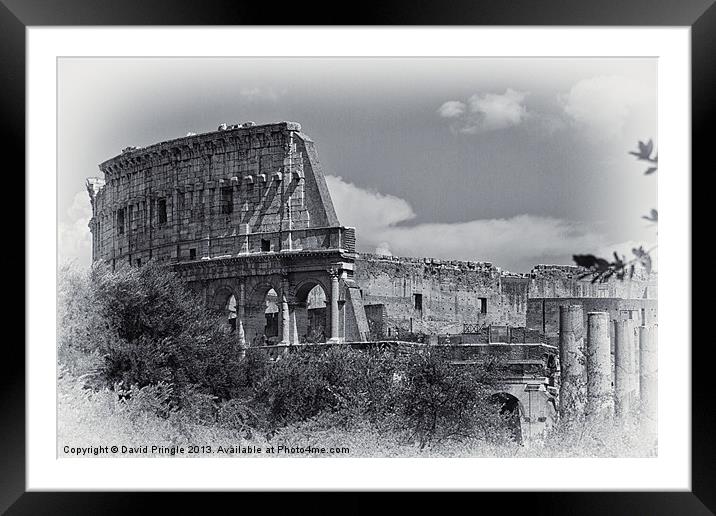 Colosseum Framed Mounted Print by David Pringle