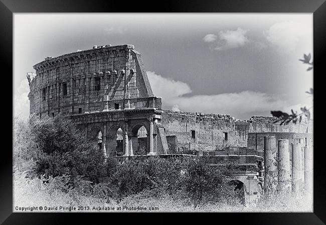 Colosseum Framed Print by David Pringle