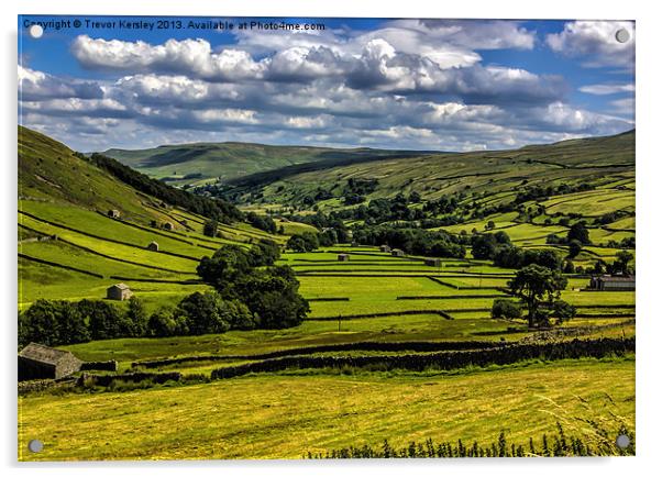 Swaledale Yorkshire Dales Acrylic by Trevor Kersley RIP