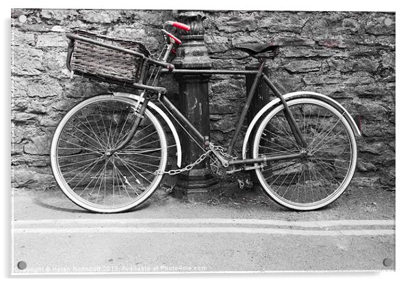 Old Bicycle Acrylic by Helen Northcott