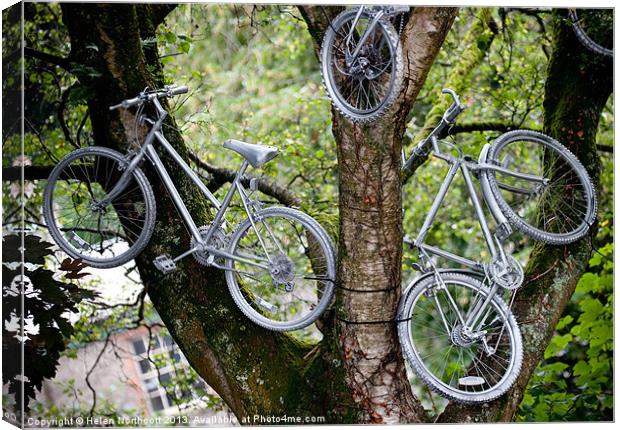 Bikes in a Tree Canvas Print by Helen Northcott