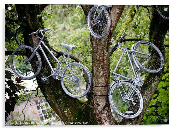 Bikes in a Tree Acrylic by Helen Northcott