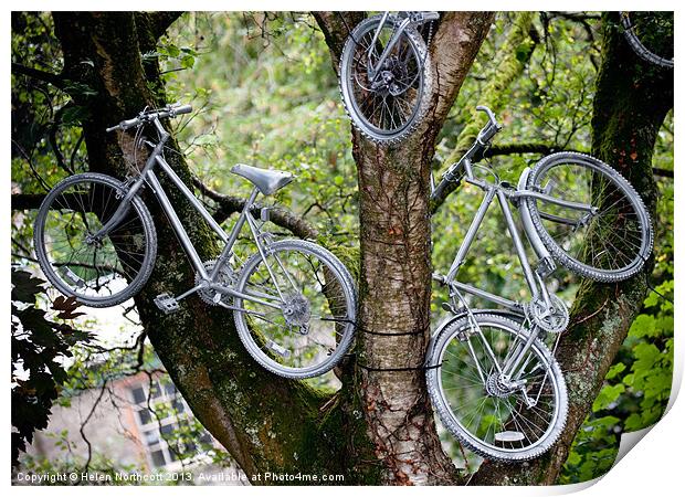 Bikes in a Tree Print by Helen Northcott