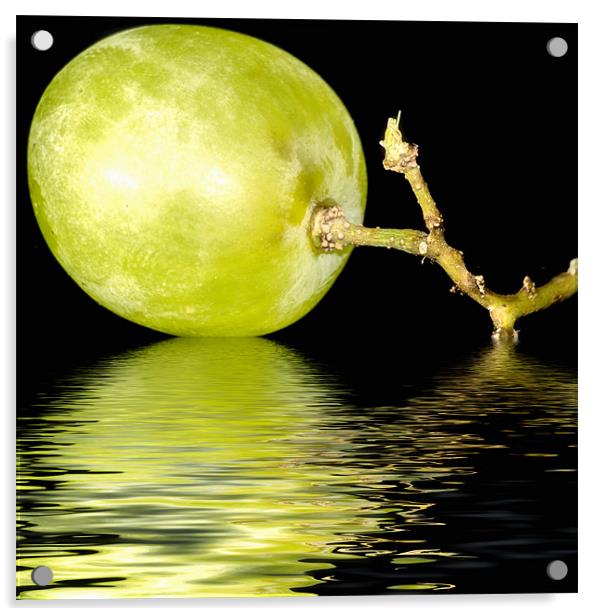 just a  green grape Acrylic by Dean Messenger