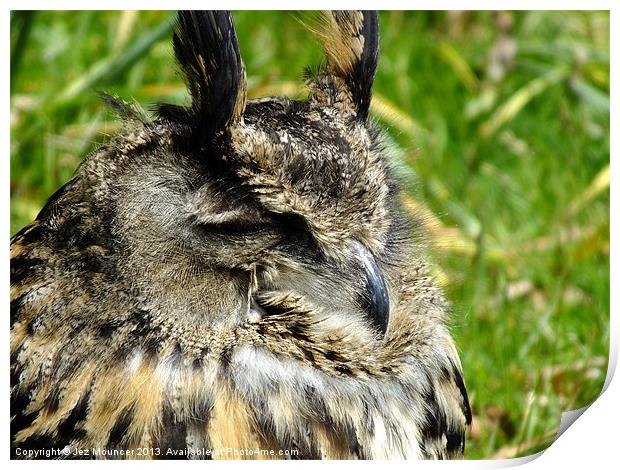 Long Eared Owl Print by Jez Mouncer