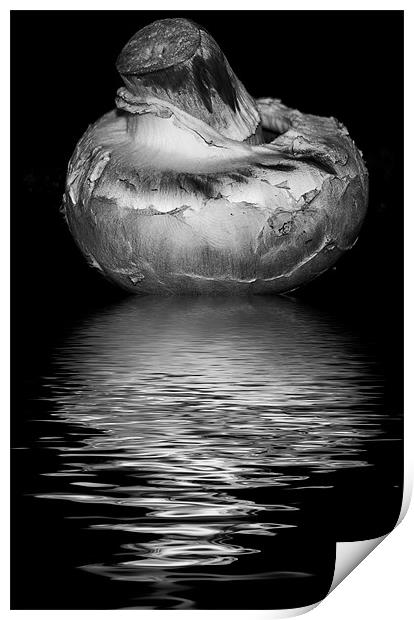 mushroom black and white Print by Dean Messenger