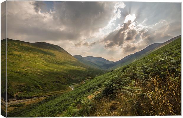Coledale Canvas Print by Phil Tinkler