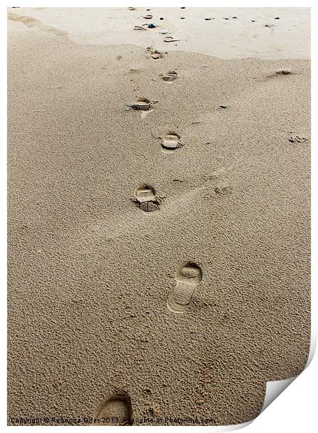 Footprint in the sand Print by Rebecca Giles
