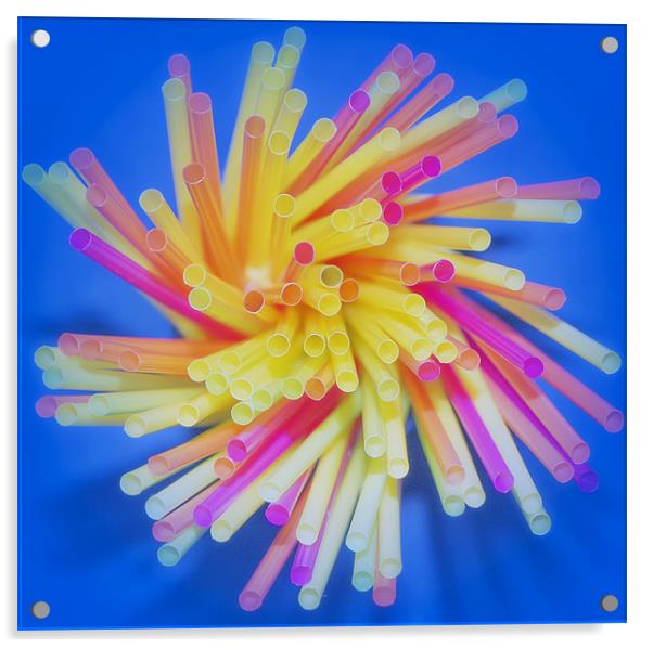 Drinking Straws Acrylic by Dean Messenger