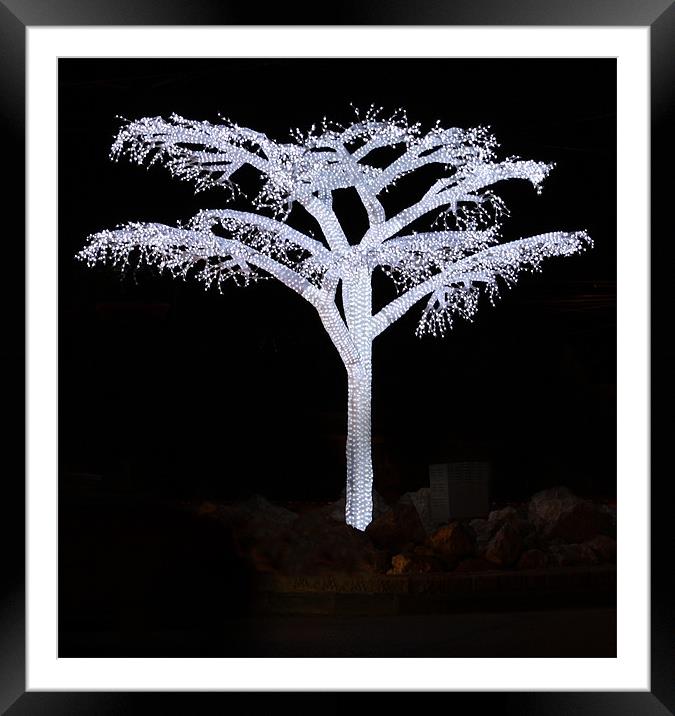 Tree of Light - 3rd version Framed Mounted Print by Paul Piciu-Horvat