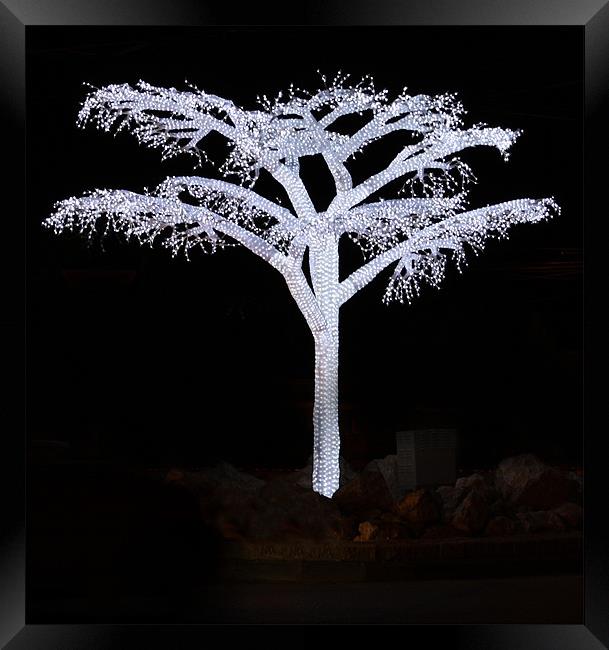 Tree of Light - 3rd version Framed Print by Paul Piciu-Horvat