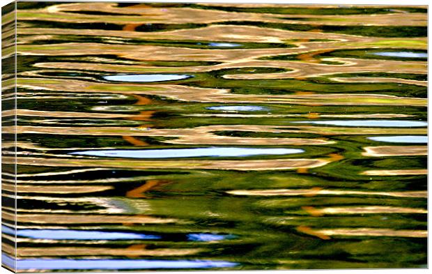 Tranquil Ripples Canvas Print by Mike Gorton