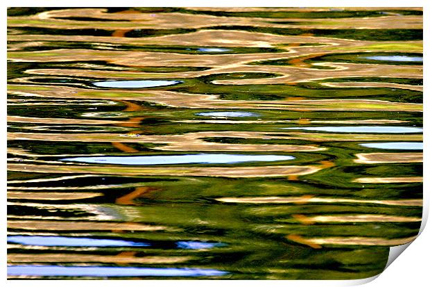 Tranquil Ripples Print by Mike Gorton