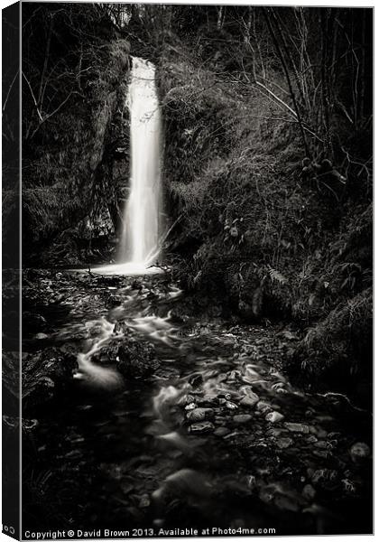 A small burn waterfall Canvas Print by David Brown