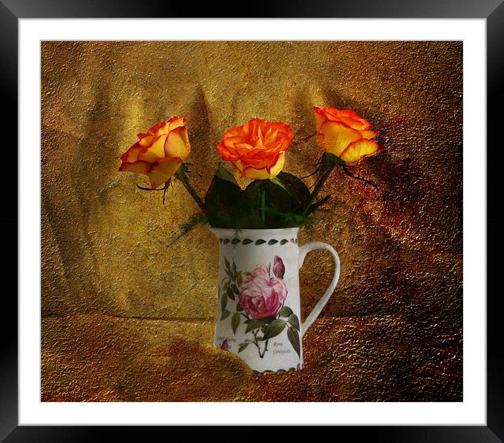 Roses Framed Mounted Print by Fine art by Rina