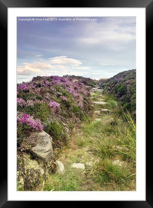 Heather on Simonside Hills Framed Mounted Print by Chris Frost