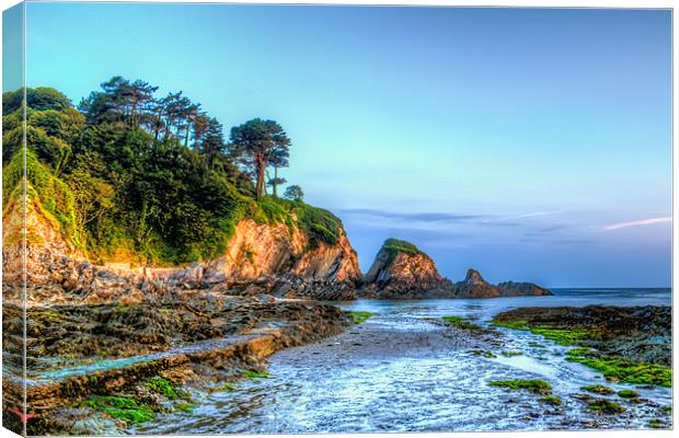 Just after sunrise at Lee Bay Canvas Print by Dave Wilkinson North Devon Ph
