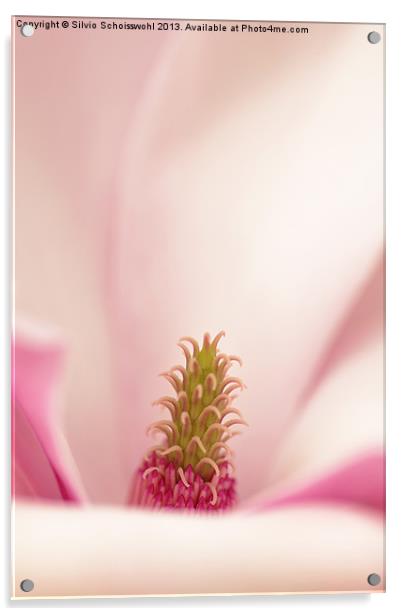 magnolia Acrylic by Silvio Schoisswohl