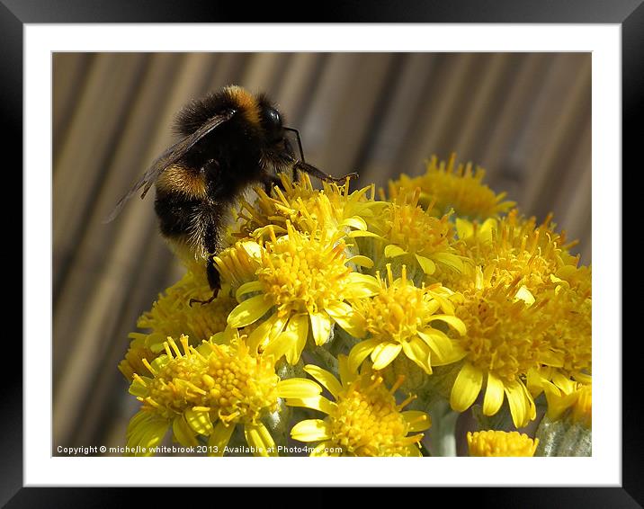 Bee Haven Framed Mounted Print by michelle whitebrook