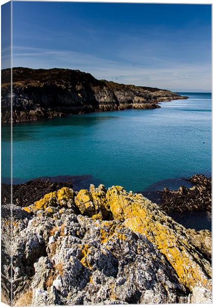 Point Lynas, Anglesey Canvas Print by Andy McGarry