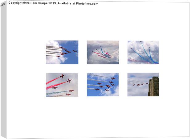 six images, red arrows Canvas Print by william sharpe