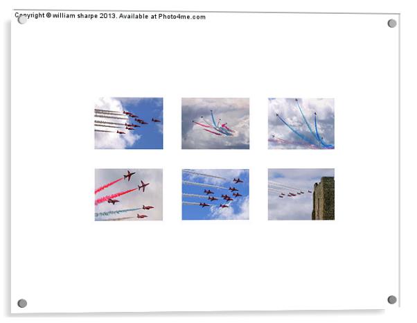 six images, red arrows Acrylic by william sharpe