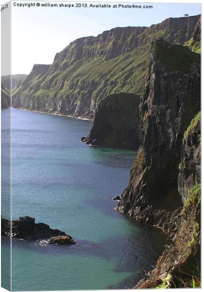 cliffs at carrick - a - rede Canvas Print by william sharpe