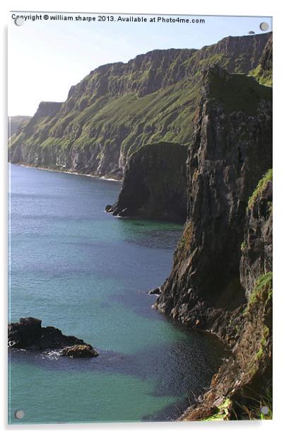 cliffs at carrick - a - rede Acrylic by william sharpe