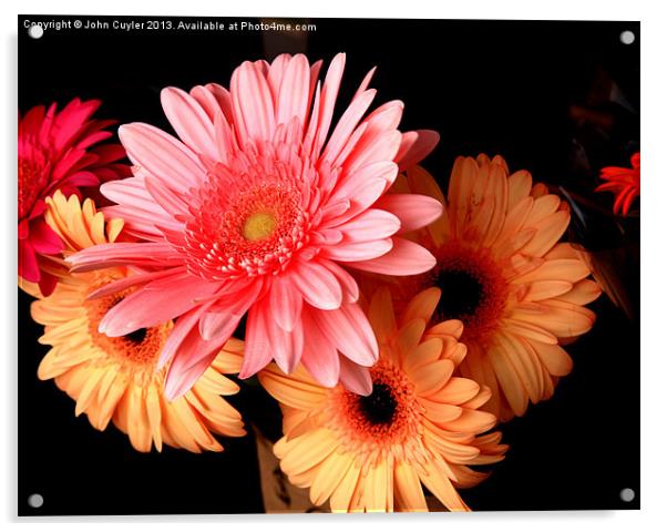 Floral Splendor Victoria BC Acrylic by John Cuyler
