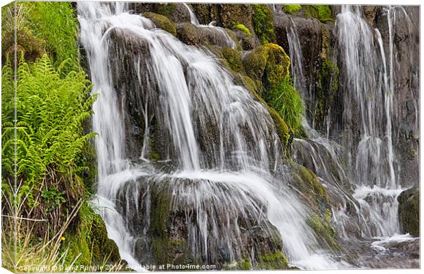 Brides Veil Waterfall Canvas Print by David Pringle