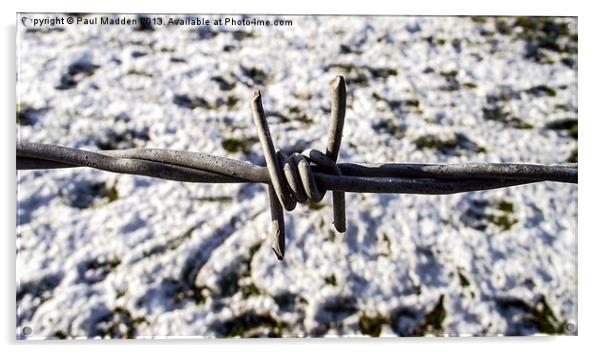 Barbed wire in the snow Acrylic by Paul Madden
