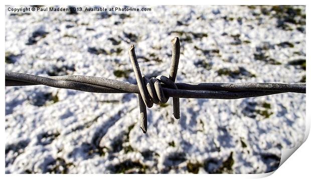 Barbed wire in the snow Print by Paul Madden
