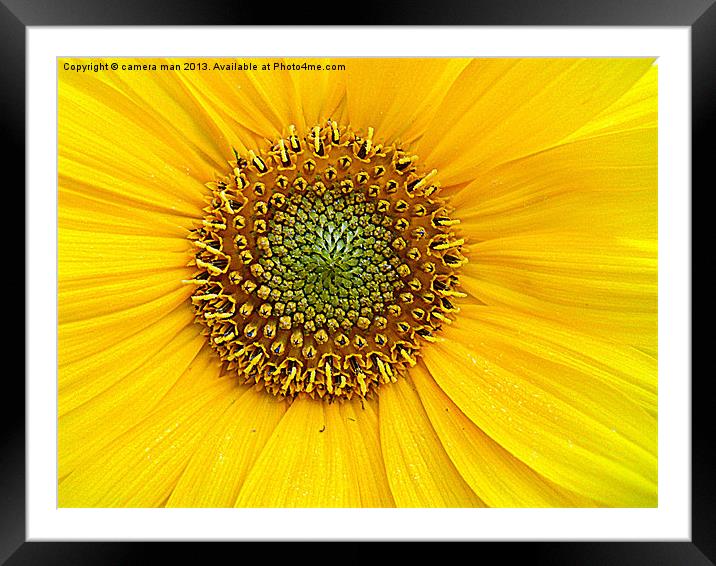 Center of sun Framed Mounted Print by camera man