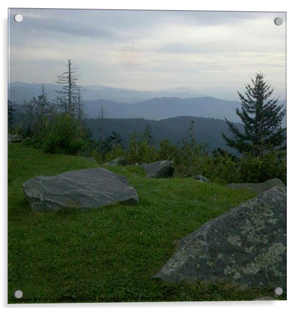 View of the Smokies Acrylic by Pics by Jody Adams