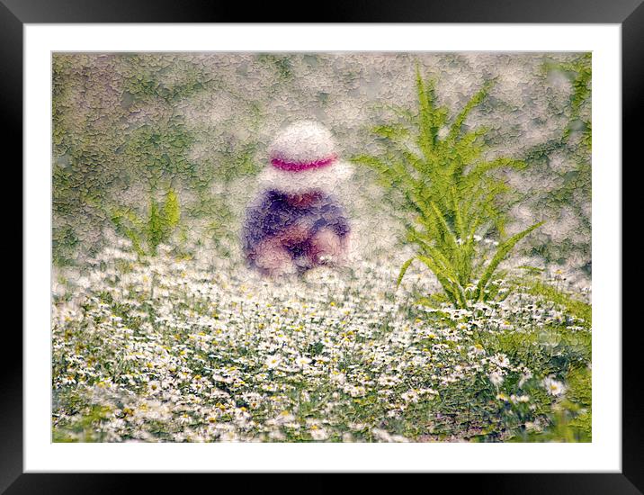 Picking Daisies Framed Mounted Print by Dawn Cox