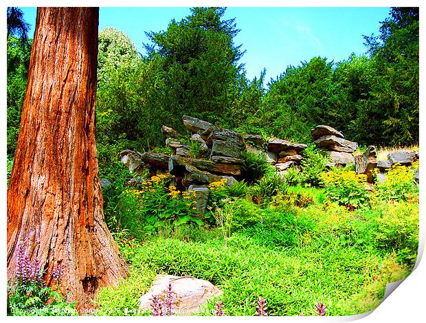 Landscape with Rocks and Trees Print by Stephen Conroy