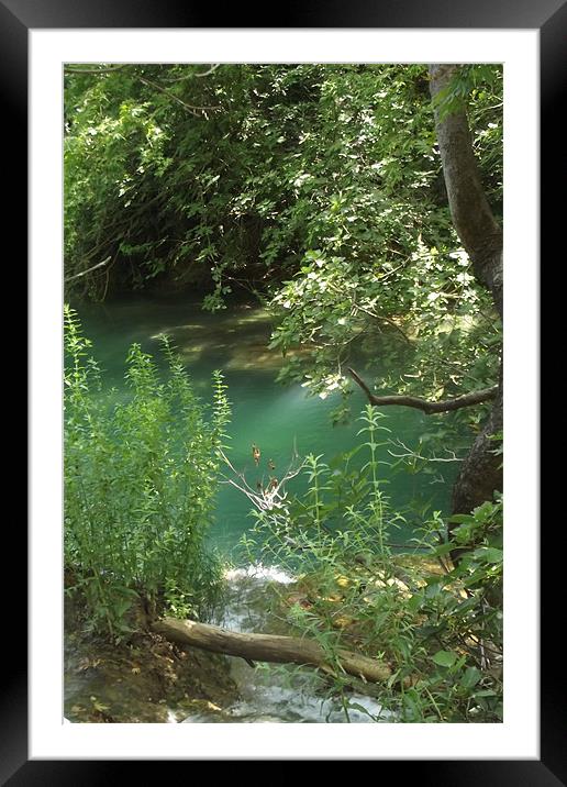 woodland pools Framed Mounted Print by Tina Ifould