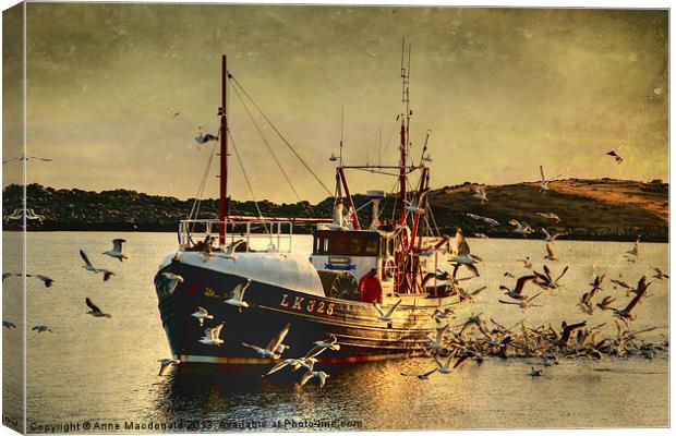 COMRADES With Catch Of Fish Canvas Print by Anne Macdonald