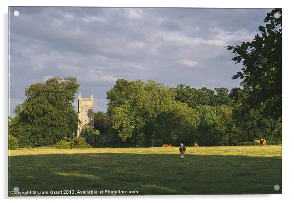 Hilborough Church and cattle grazing in a field at Acrylic by Liam Grant